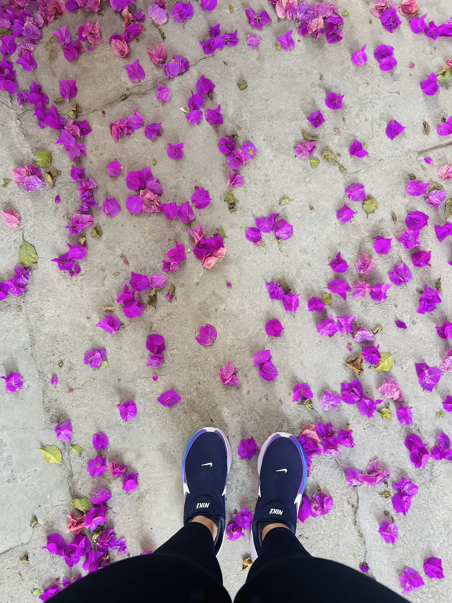 Andrea Ruiz tweet media