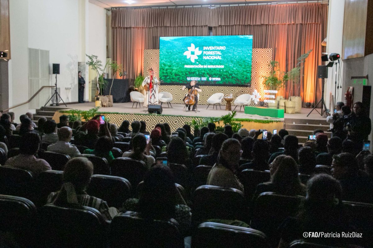Acompañamos la presentación de los resultados de la tercera fase del Inventario Forestal Nacional (IFN) del <a href="/InfonaPy/">Instituto Forestal Nacional del Paraguay</a> 🌱

Incluye información científica y oficial sobre los bosques del país, basada en mediciones en campo y monitoreo continuo. 🌳
