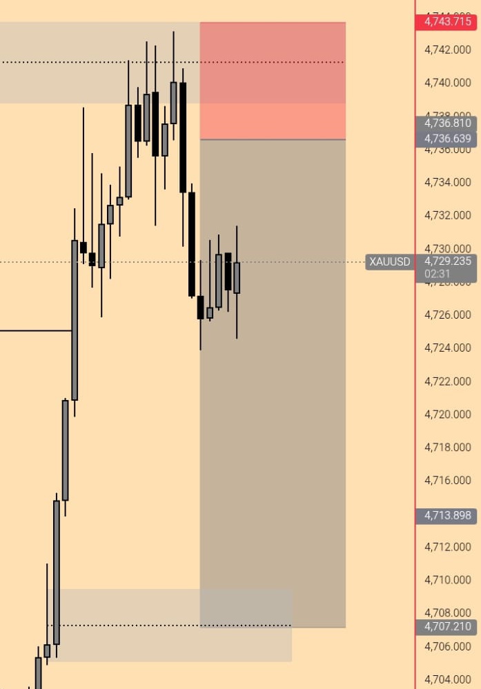 Gold Fx Nation tweet media