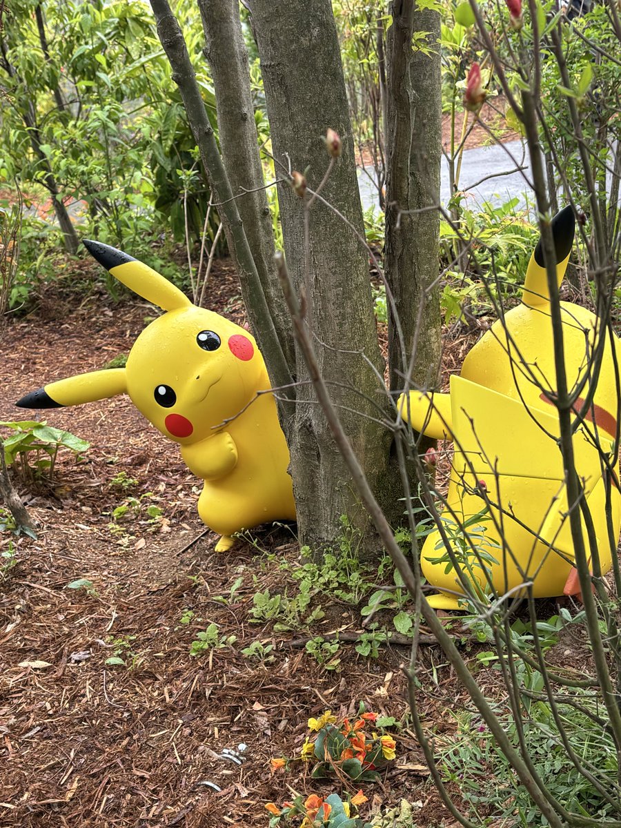 riputo2525's tweet photo. ポケパーク最高だった😭😭
まだまだグッズも欲しい物だらけで案の定雨だったから撮影もまたリベンジしたい🥲

素敵な誕生日だった😭😭🫶🏻 https://t.co/MKmZ6Ps1MA