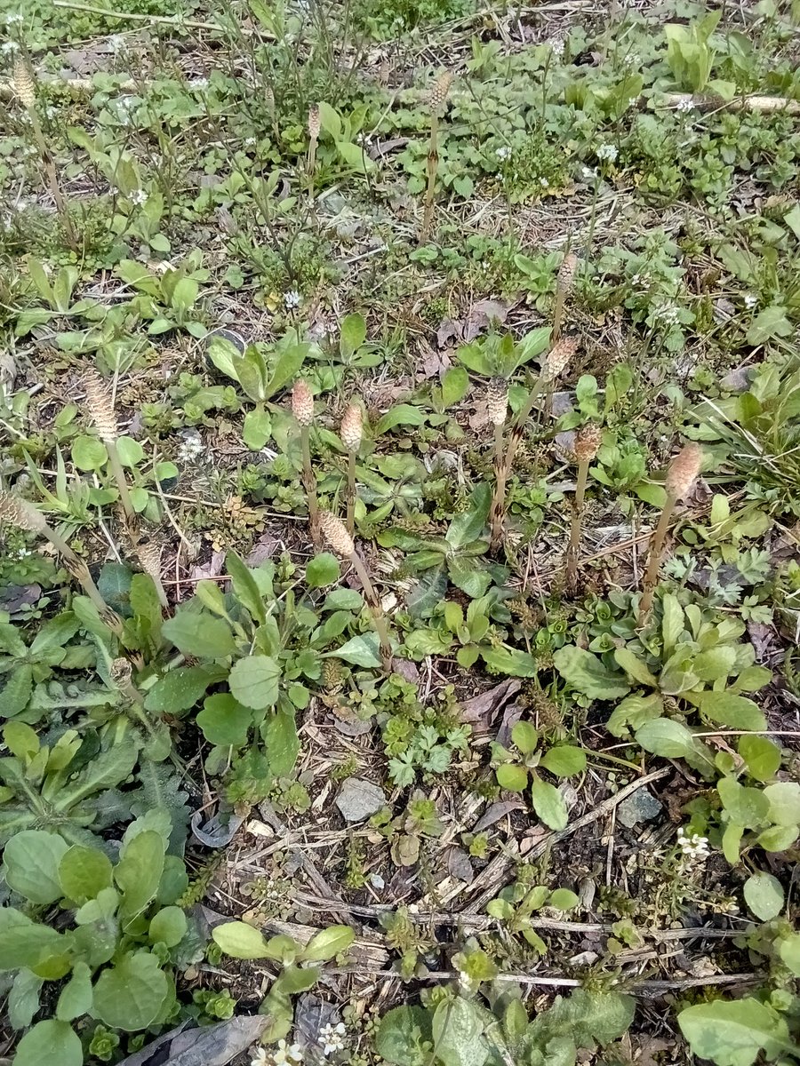 skyscraper185 tweet media