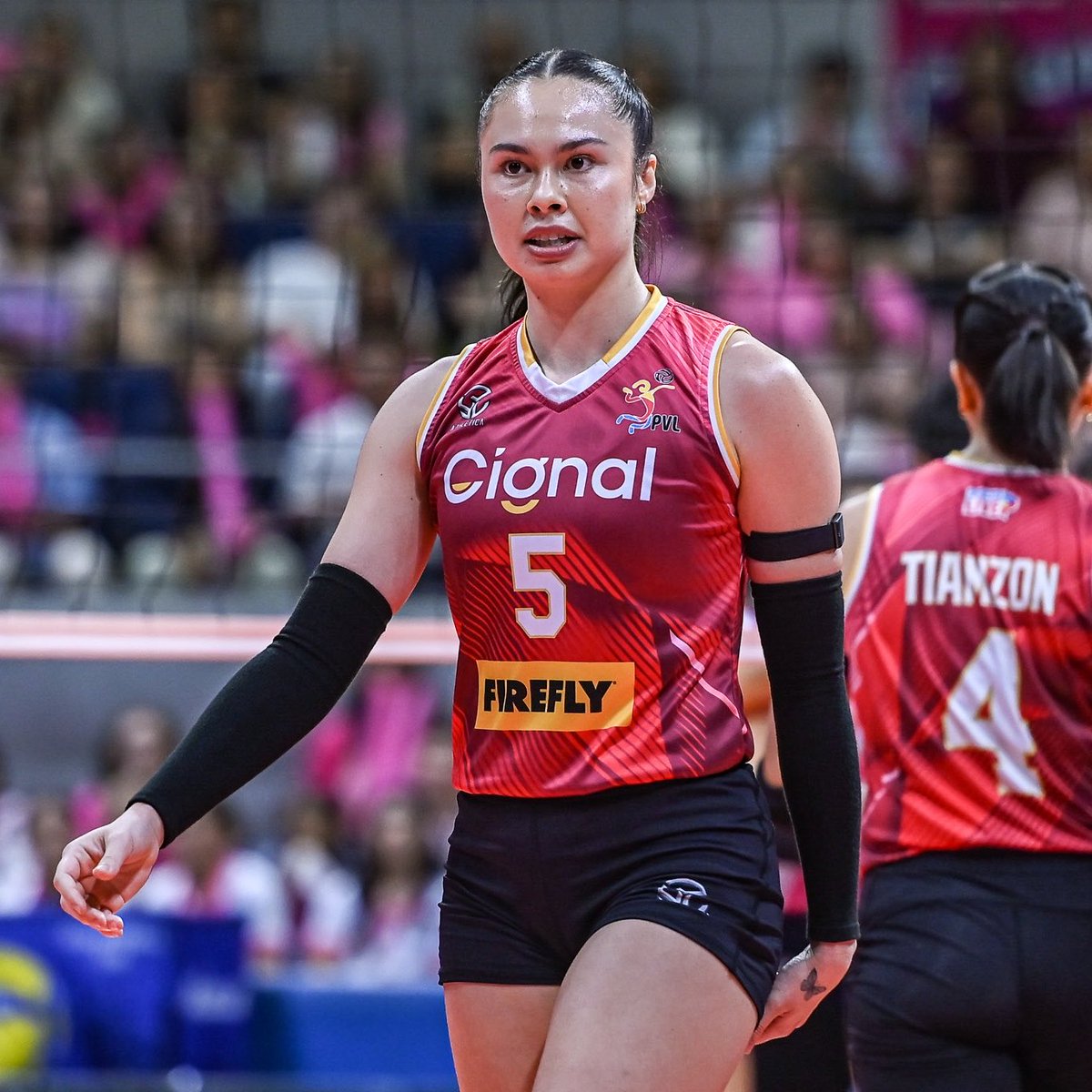 𝐕𝐓 tweet media