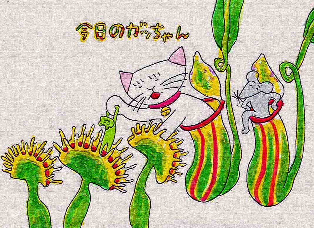 平澤一平 tweet media