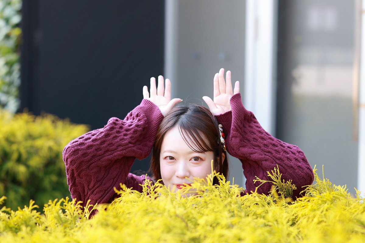 Hina【ひなリンピック】東北の写る人 tweet media