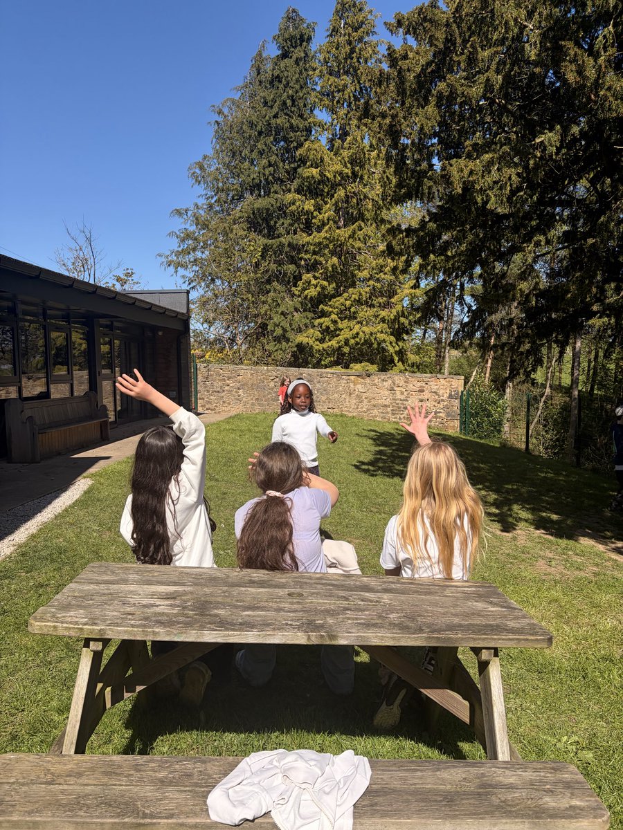Year 5 Simpson’s Lane tweet media