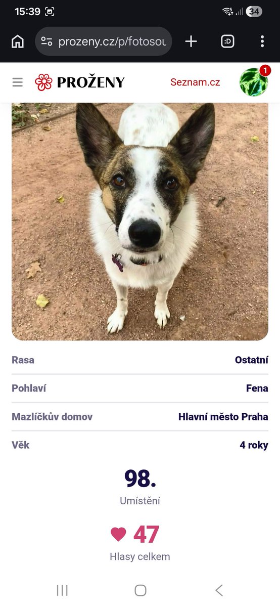 PEJSKA JE V PRVNÍ STOVCE, JEDEM