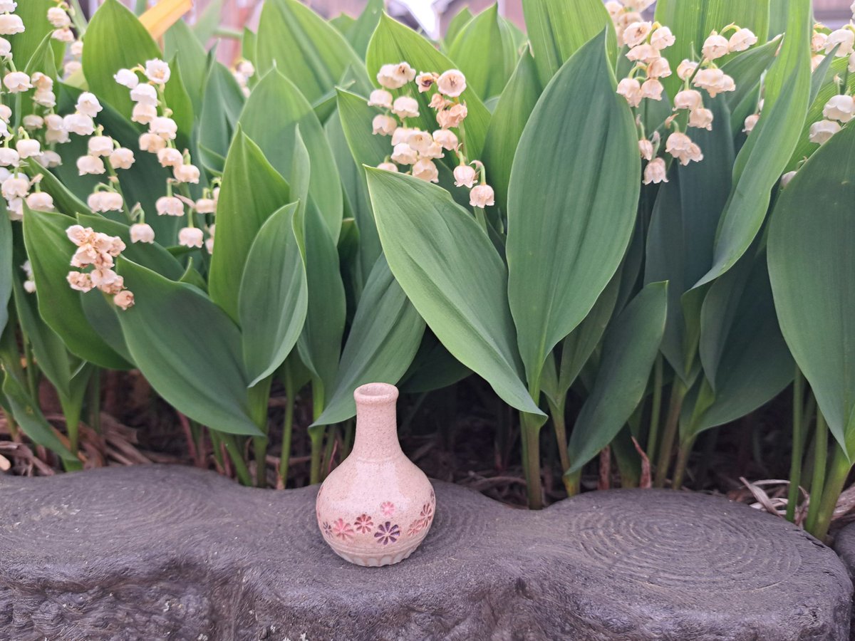 早朝散歩　公園にはスズラン
いけてるつもりで寄り添った
#いか印
#小さないちりんざし
#陶磁器小物
#25日東村山手づくり小物雑貨市
#26日西荻手しごと市