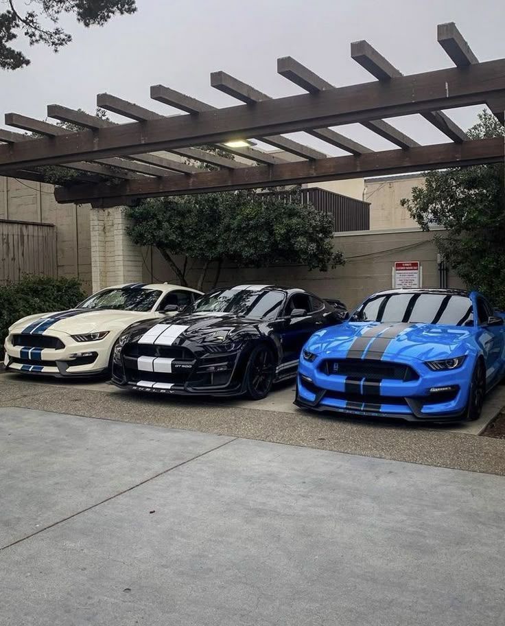 Car Porn tweet media