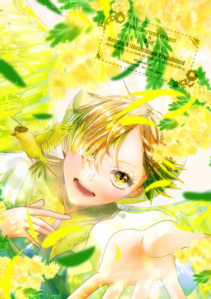 カナリアとミモザ
#イラスト #オリジナル