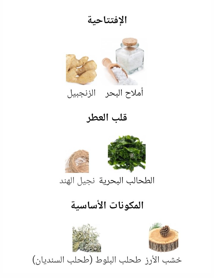 بتكلم عن #العطور tweet media