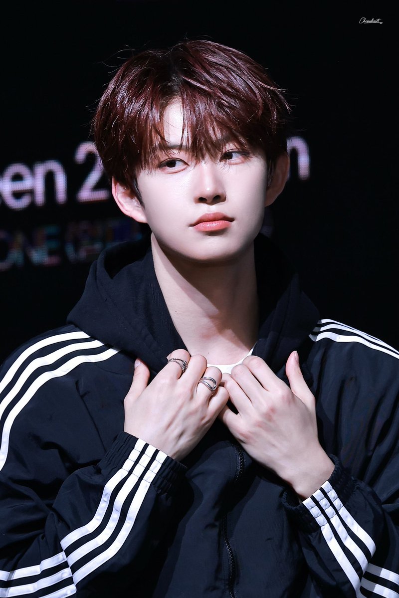 🐞🌸 tweet media