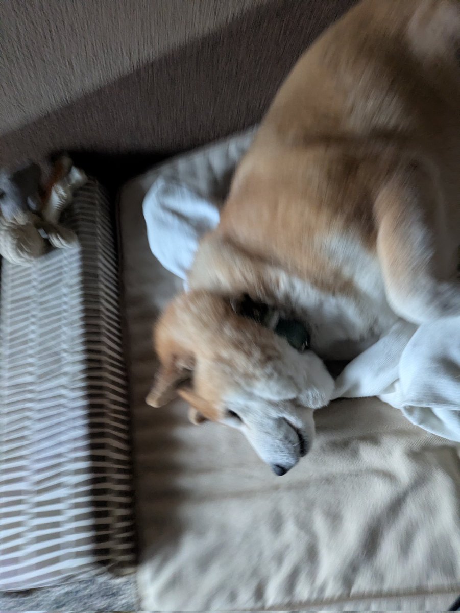 まにャ🚑️🍙▶箱推し tweet media