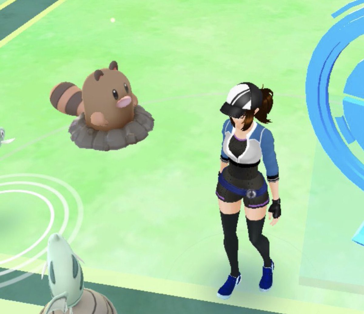 Cat is life ~猫は人生~ tweet media