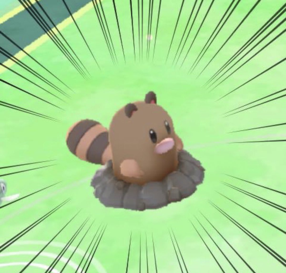 Cat is life ~猫は人生~ tweet media