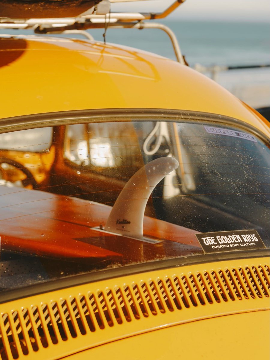 hikehome1's tweet image. The mountains don’t judge. They challenge. They humble. They reward. 💪 What’s the hardest hike you’ve completed in the USA? 

INS : @hikenestco
FB :@hikehome

#running #pendaki #outdooradventures