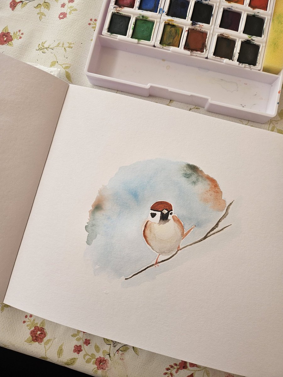 yυĸι 🦜🧶 kawaiiamigurumiis 🪡 AGENDA CERRADA tweet media