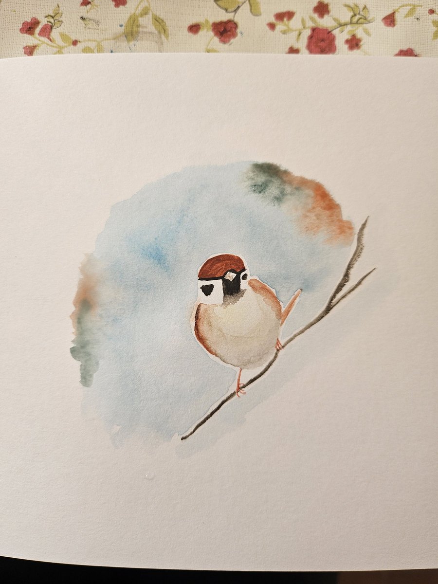 yυĸι 🦜🧶 kawaiiamigurumiis 🪡 AGENDA CERRADA tweet media