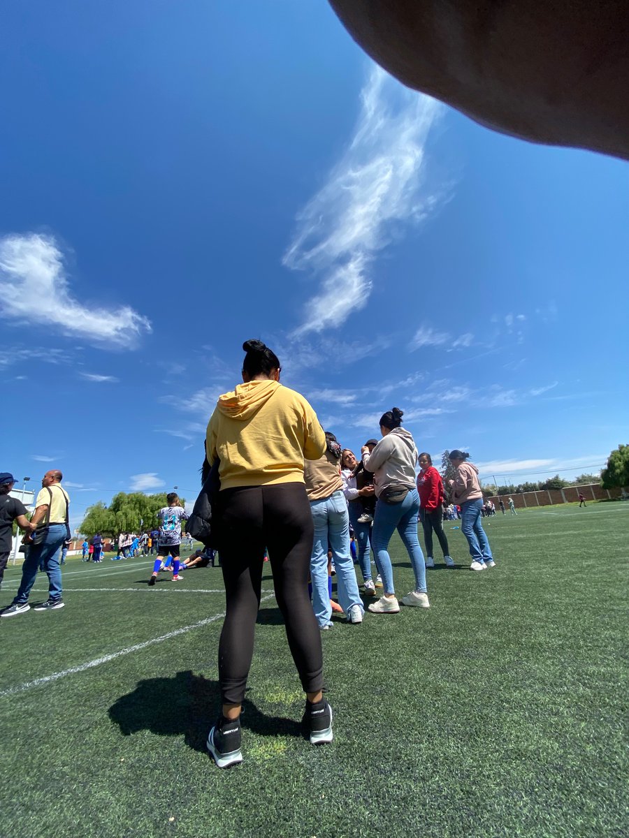 AVE DE TOLUCA tweet media