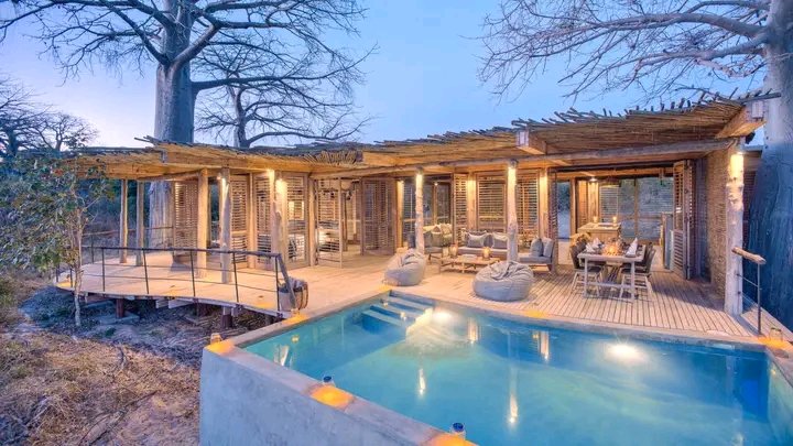 wafoyosafaris's tweet image. African Adventure experience.
Explore the best way to fulfill your favorite travel adventure experience with Wafoyo Safaris. Come explore the best amazing adventures and sceneries.

#travel.   #adventure.   #african