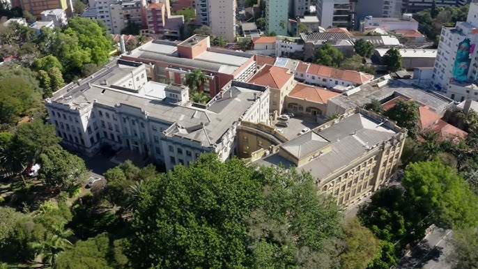 Guimarães Mota tweet media