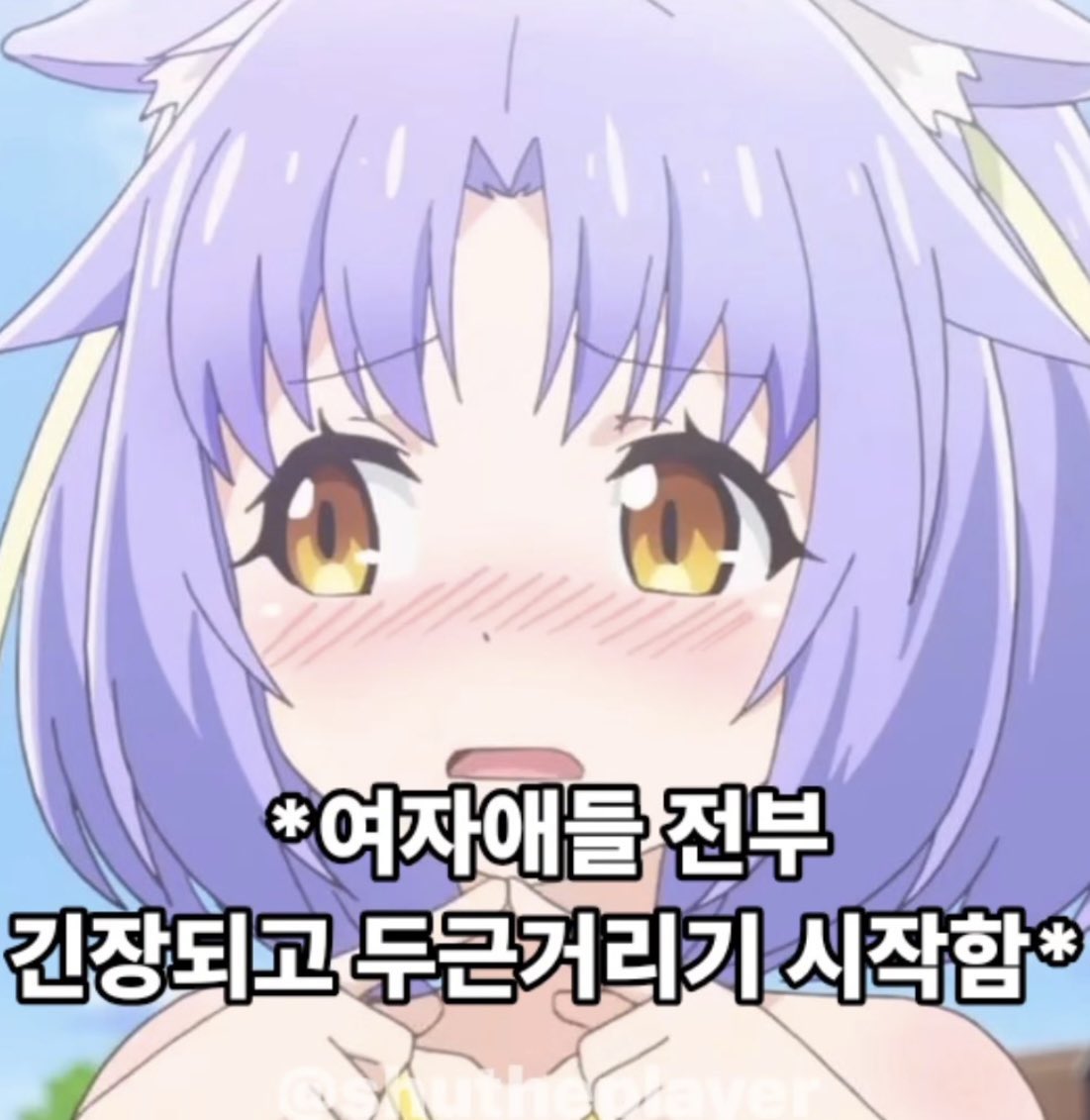 개횬이 tweet media