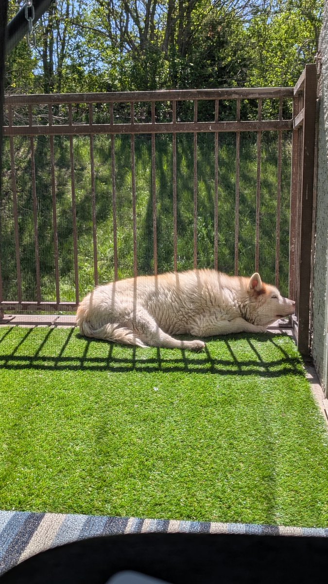 Gregarious Mess 🌊🏳️‍🌈🦦🌊 tweet media