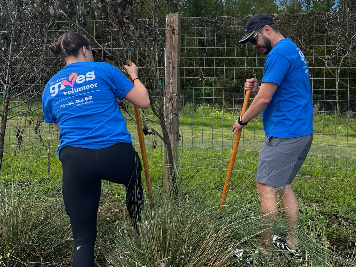 Florida Blue tweet media