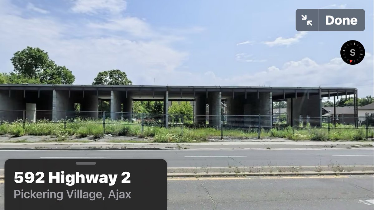 DogTurd™🍁 tweet media