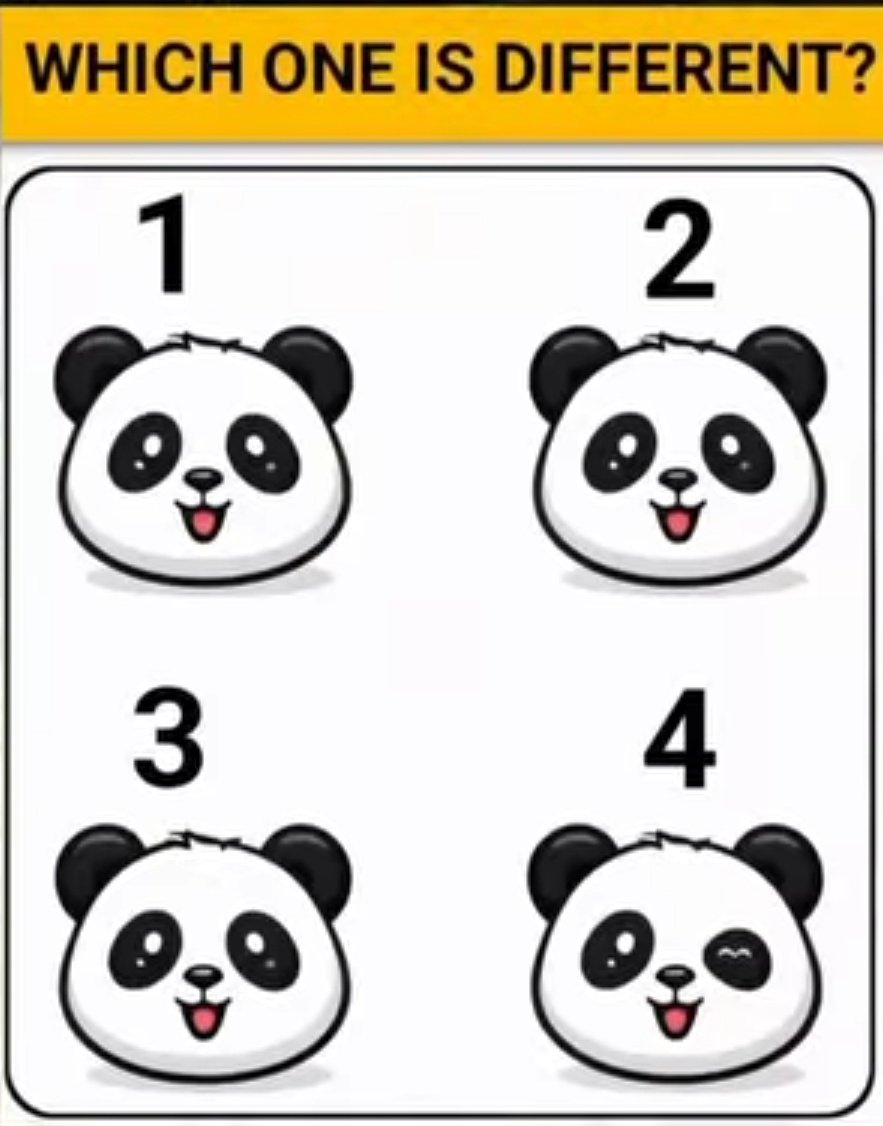 xylomyst✨ tweet media