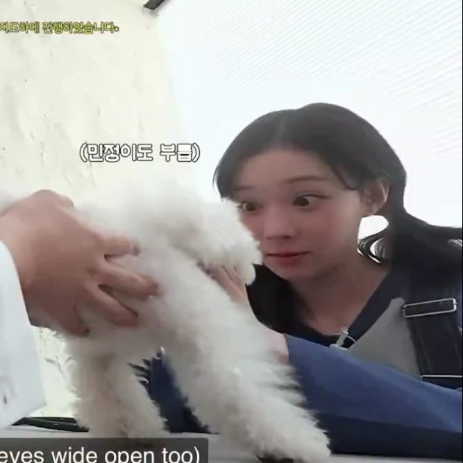 🧀🍋 tweet media