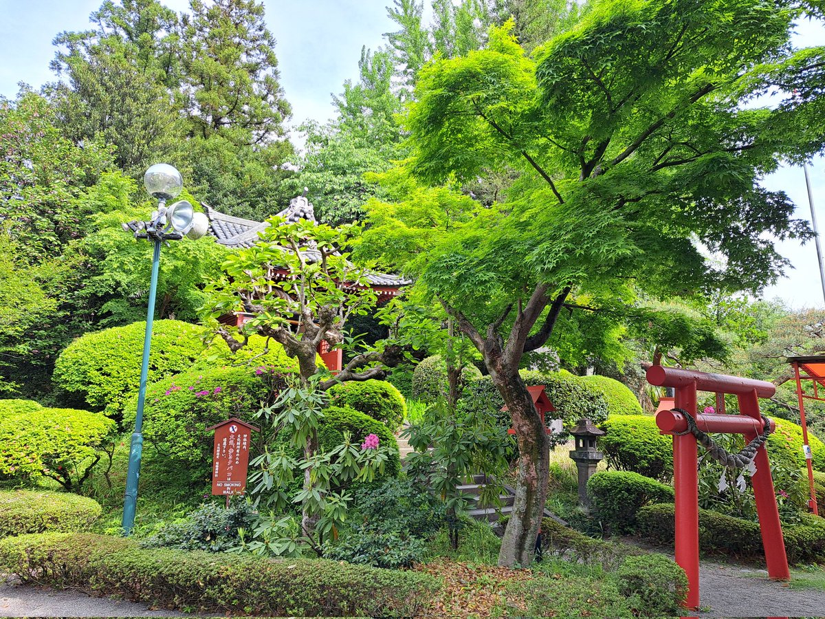 AtuCamui tweet media