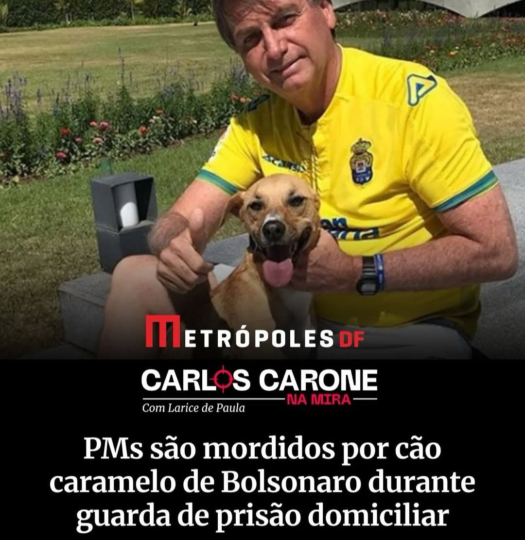 Meu Deus... Cachorro treinado e com raiva do Bolsonaro tentou assassinar agentes da lei. Espero que o IBAMA, o STF e a Luis Mel tomem alguma providência sobre esse crime ambiental gravíssimo!