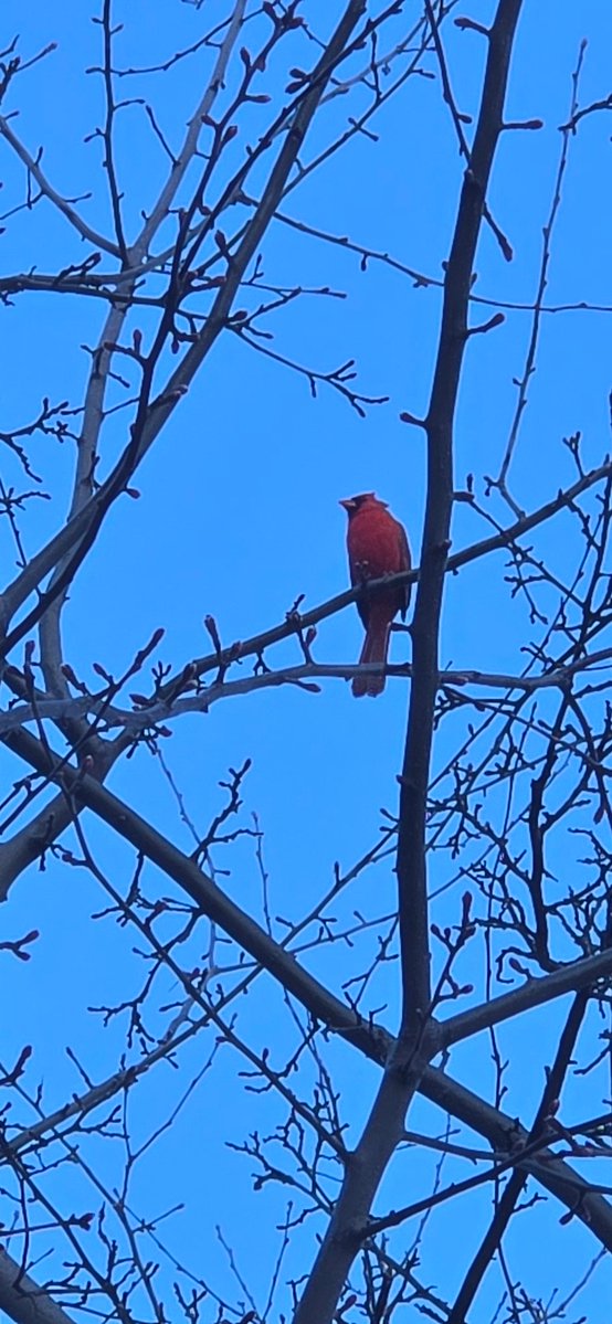 yams 🐑 tweet media