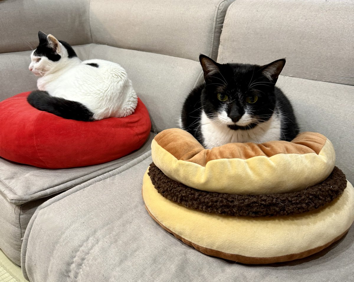 なみそ📕KEN/書籍重版！感謝📙 tweet media