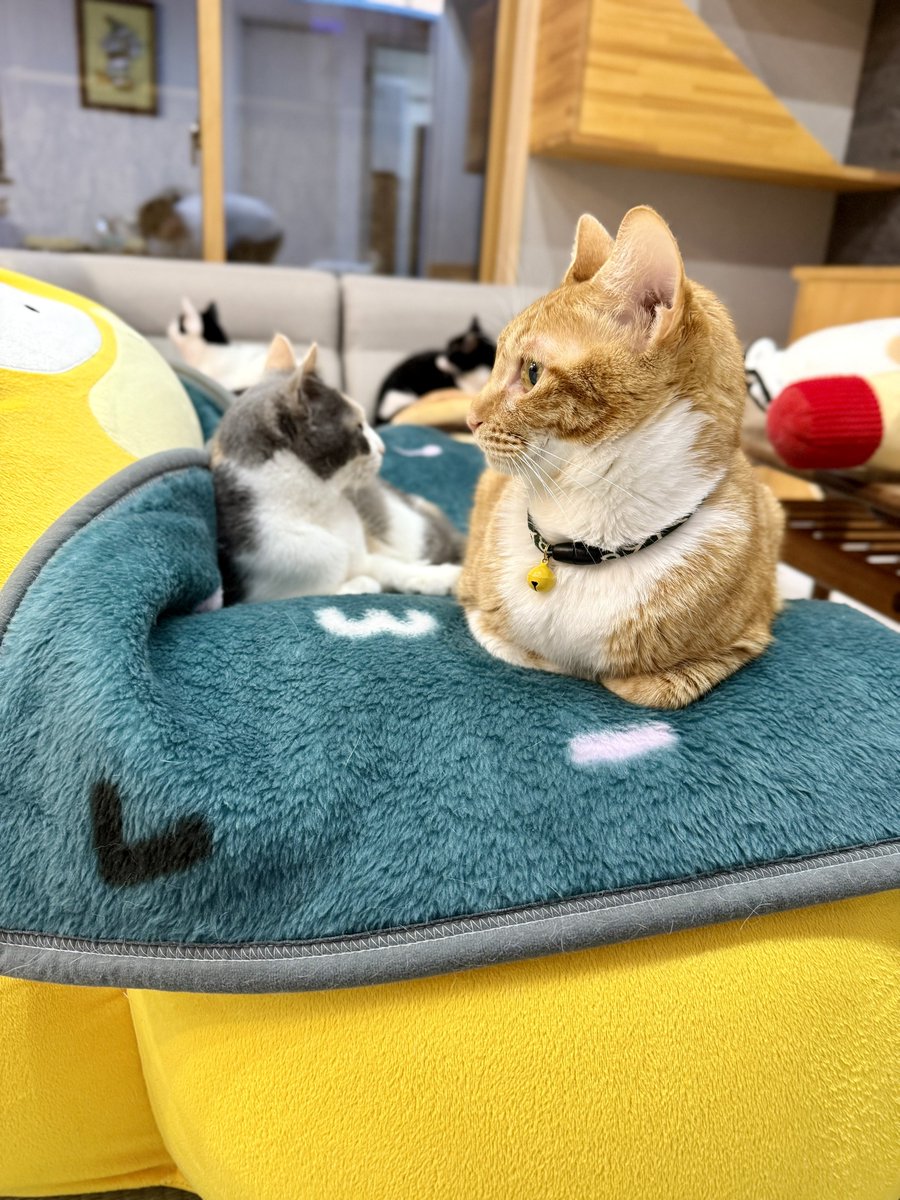 なみそ📕KEN/書籍重版！感謝📙 tweet media