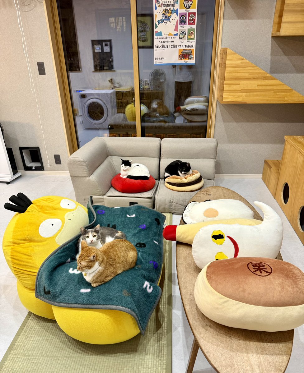 なみそ📕KEN/書籍重版！感謝📙 tweet media