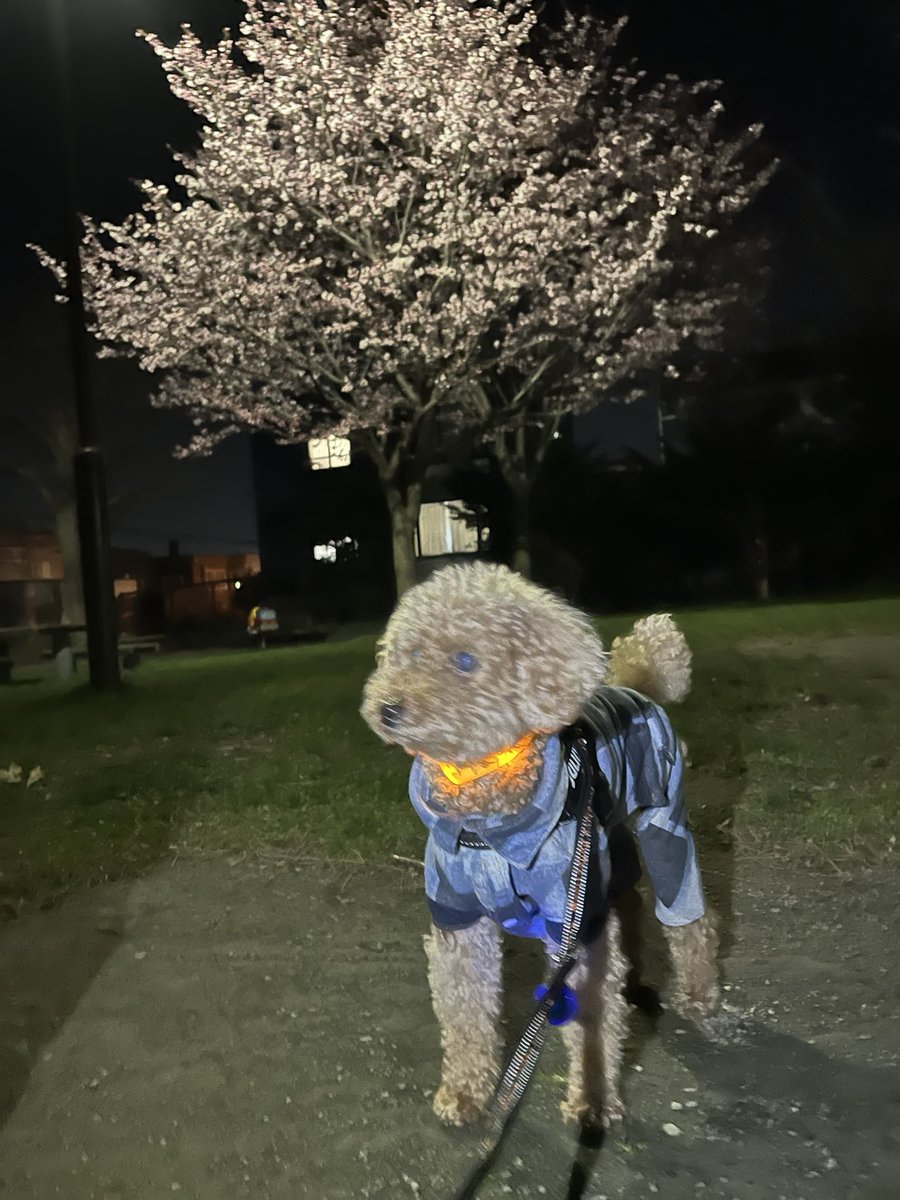 リック🌈&リュウ tweet media