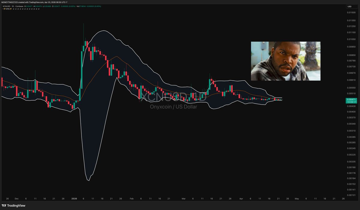 MoneyTingz tweet media