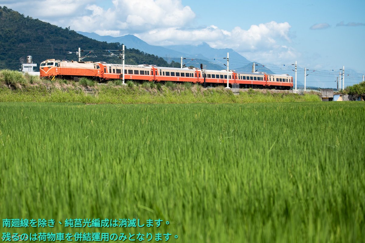 蔡昀軒 tweet media