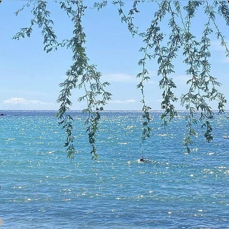 purelivn's tweet image. calmness of blue