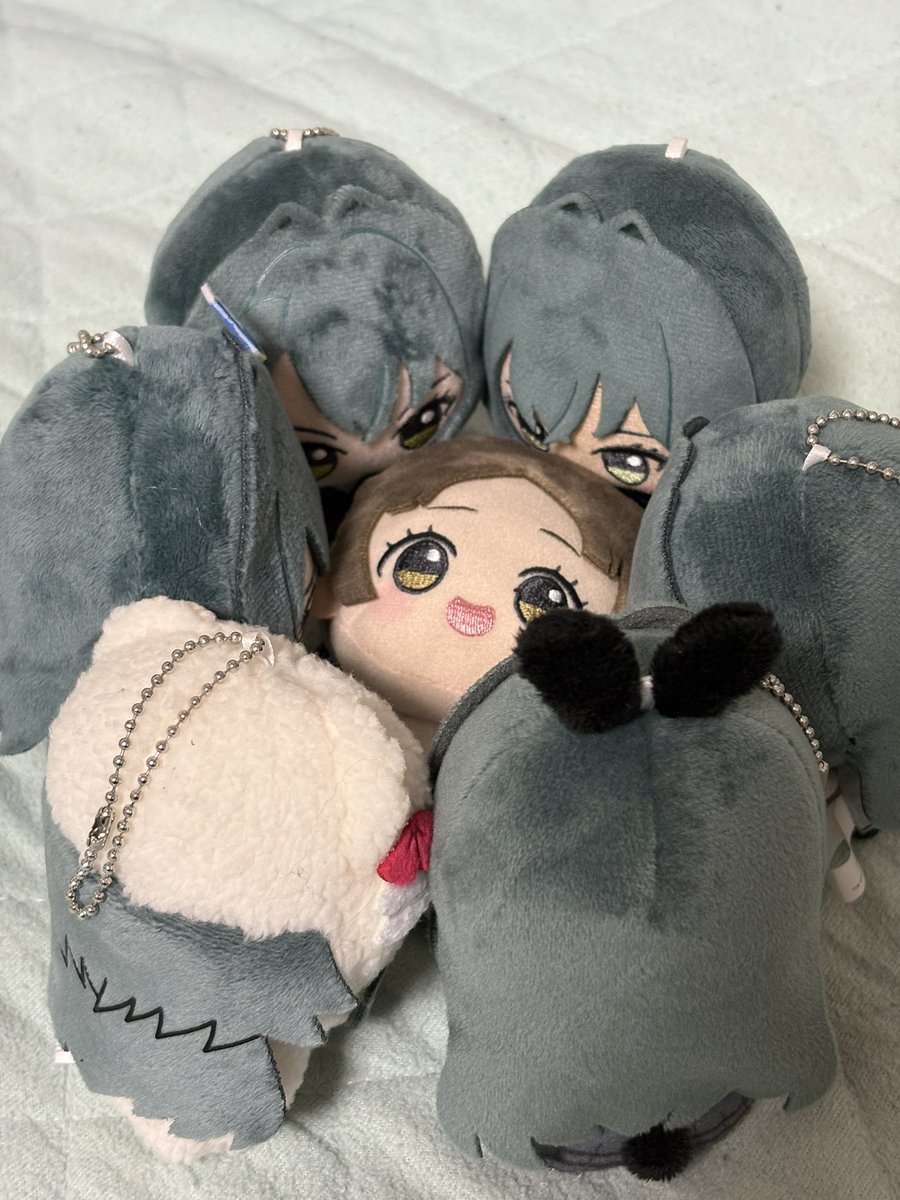 てりまよ tweet media