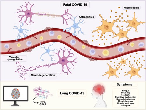 Brain Pathology tweet media