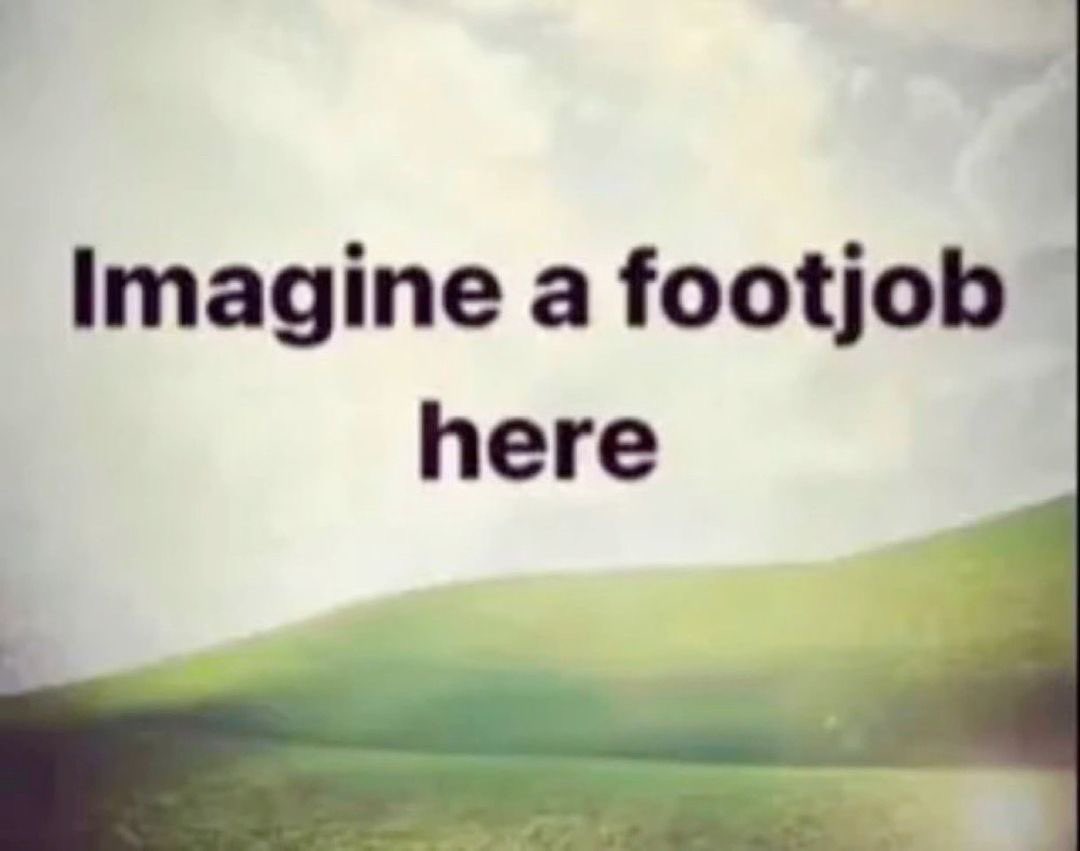 gay mark lee media tweet media