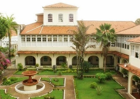 Guimarães Mota tweet media