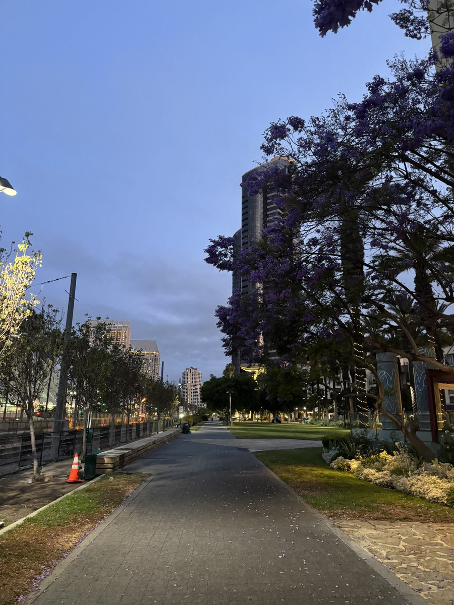 CoachHop's tweet image. 🌅🏋️🏃🏼 #ThursdayMorning #Lift and #run #Anotherone #5amclub #ThankfulThursday #Attitude of #gratitude