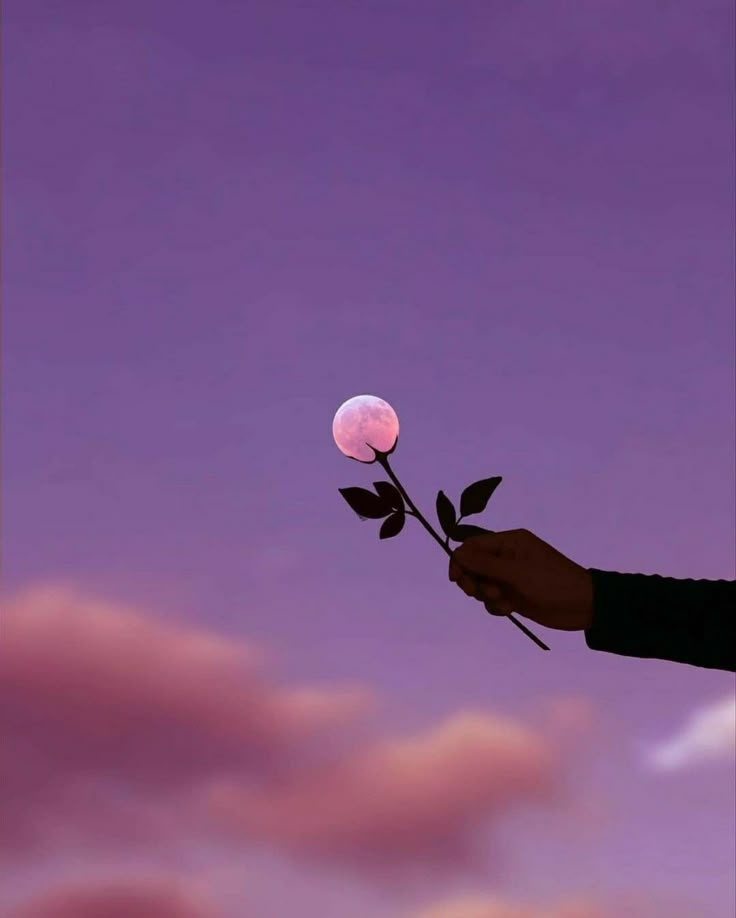 MOON tweet media