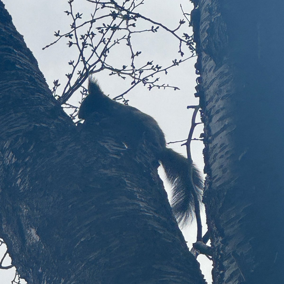 𝐦𝐚𝐫𝐢 tweet media