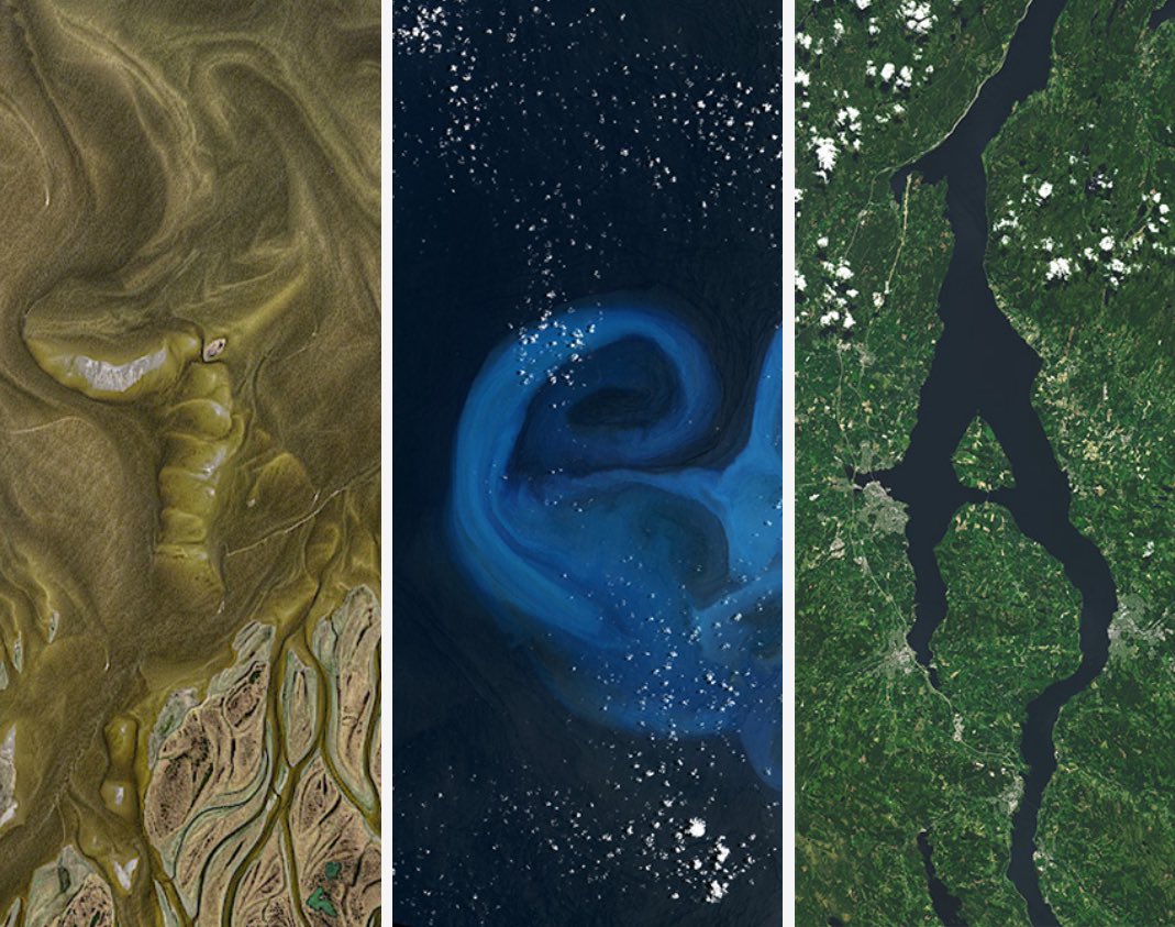 mady 🦭 tweet media