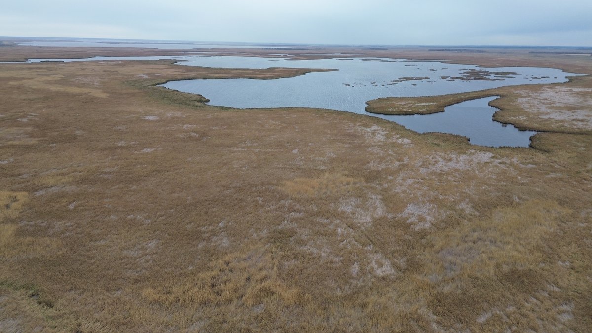 Environment Canada tweet media