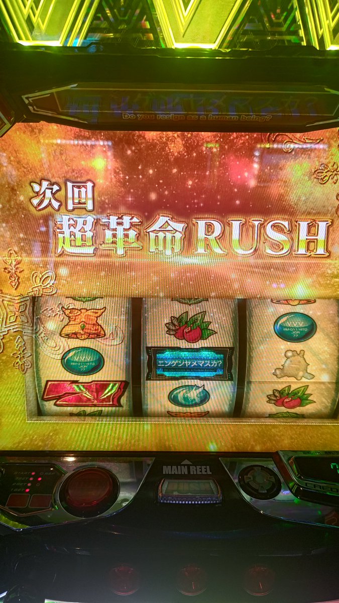 じゅんち tweet media